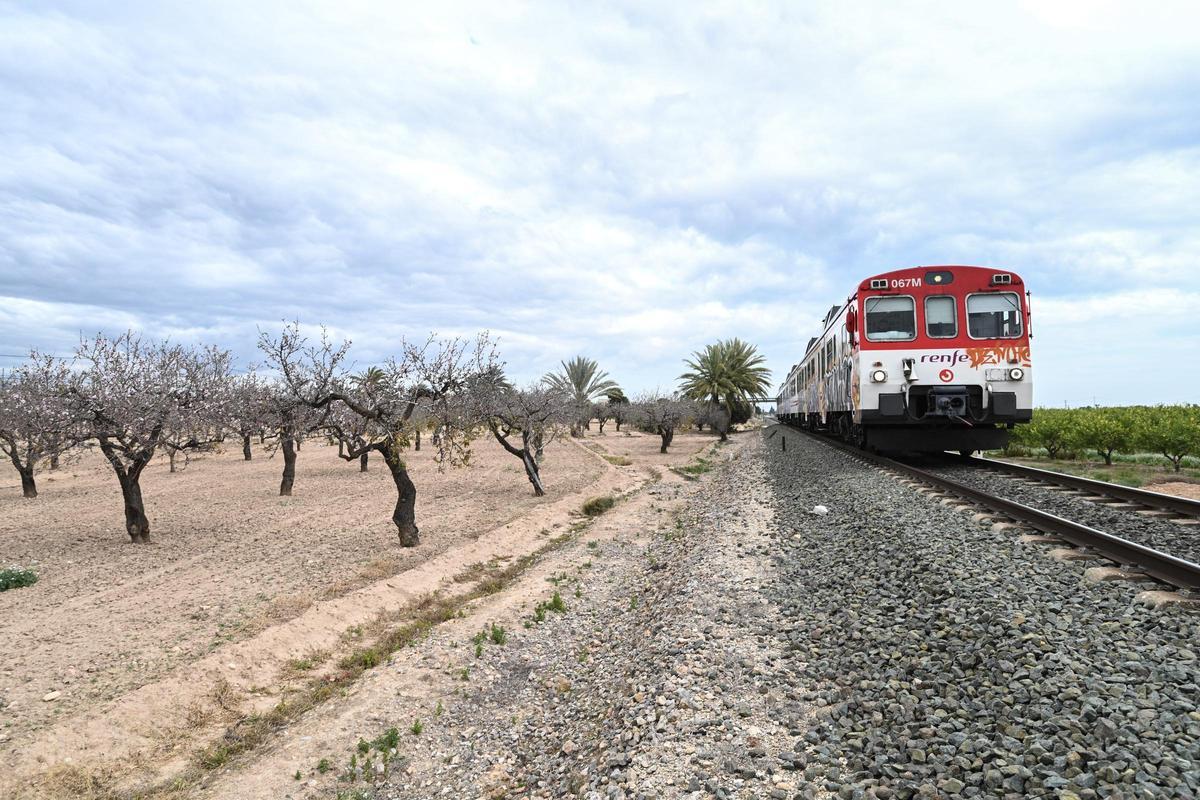 Tren de la línea Alicante-Elche a su entrada en Elche desde Torrellano
