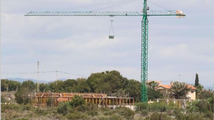 Ecologistas rechazan el nuevo hotel de Pinet, en La Marina, por su afección a las aves