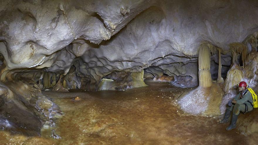 Expertos reiteran que la Cueva de La Araña es «excepcional a nivel mundial»