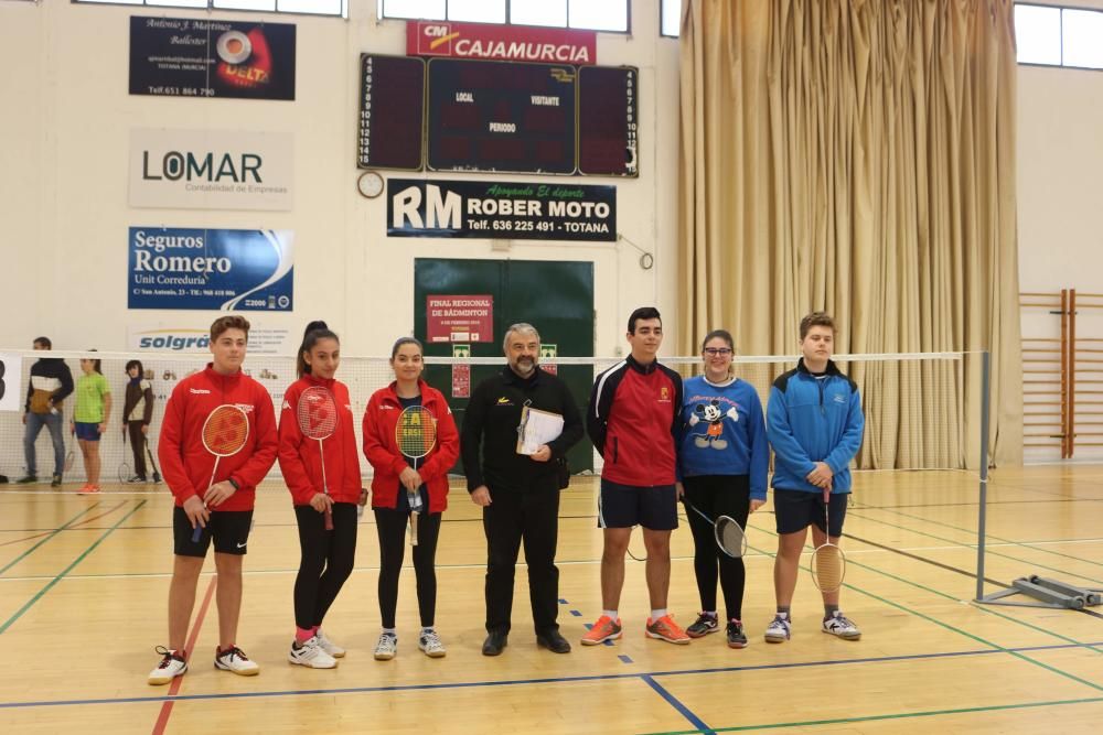 Final Regional de bádminton de Deporte Escolar