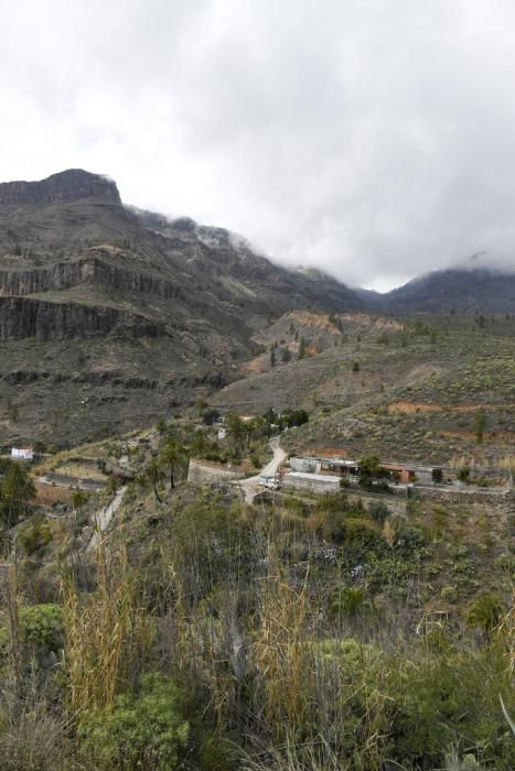 GRAN CANARIA 26-01-2019  SANTA LUCIA DE TIRAJANA-SAN BARTOLOME DE TIRAJANA. Fotos al macizo de Amurga. Fotos a los terrenos de la familia de Román comprados por el Cabildo.  FOTOS: JUAN CASTRO