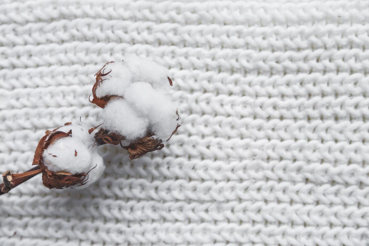 El algodón supone un fuerte impacto en la industria textil