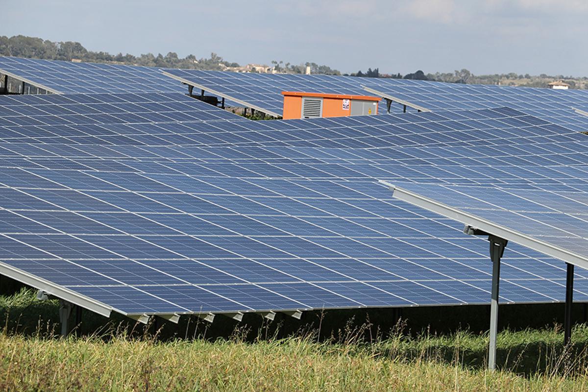 Parque fotovoltaico en el campo mallorquín