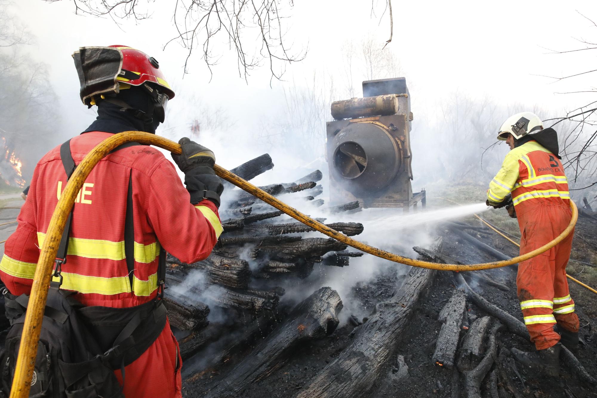 EN IMÁGENES: bomberos, vecinos y la UME luchan contra el preocupante incendio en Tineo