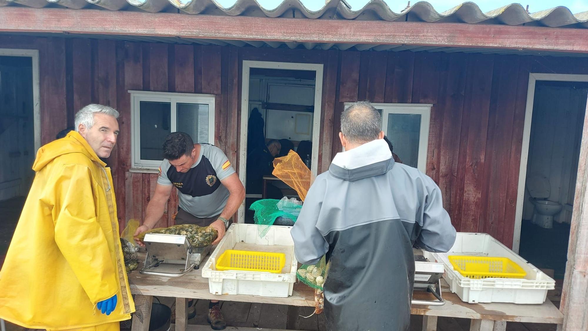 Así comenzó otra preocupante y desconsoladora campaña para el libre marisqueo en Arousa.