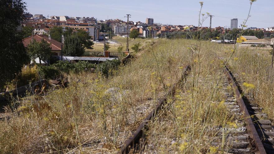 El manifiesto del 4-N reclama que el tren Ruta de la Plata esté culminado antes de 2040