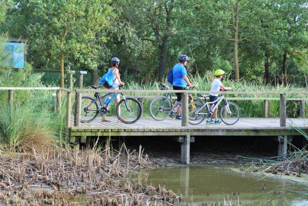 Una ruta d''estiu pel Baix Fluvià