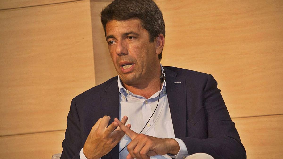 Carlos Mazón, presidente del PP alicantino y de la Diputación de Alicante. | LEVANTE-EMV