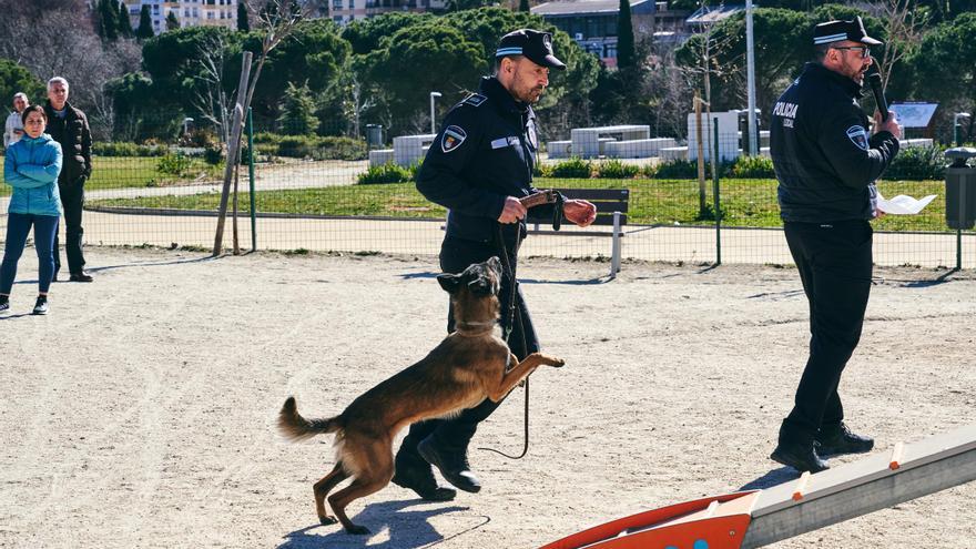 Agentes con perros antidrogas harán por primera vez vigilancia en el Womad en Cáceres
