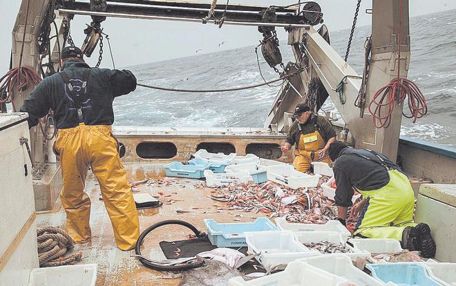 Un día en alta mar con los pescadores de Mallorca