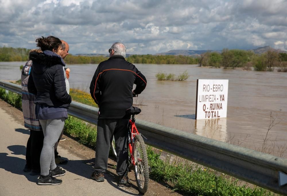 El río Ebro está a punto de desbordarse