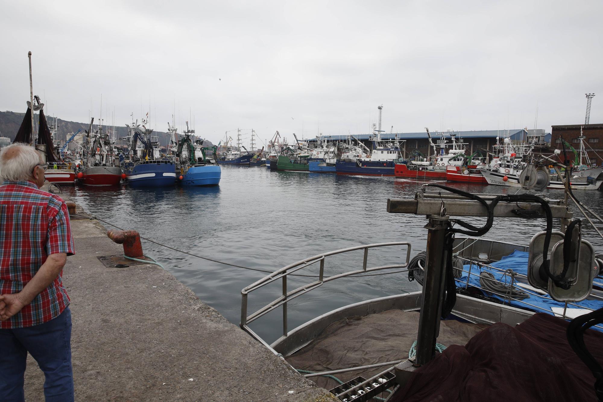 En imágenes: Gran descarga de bocarte en el puerto de Gijón