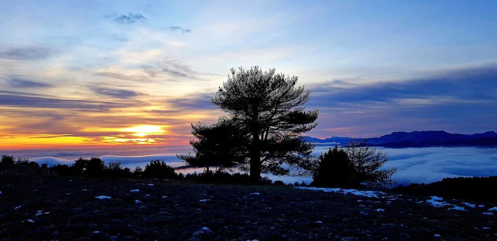 Solsonès. La densa boira cobria els peus de la muntanya, mentre el sol s’amagava a l’horitzó deixant un cel rogent.