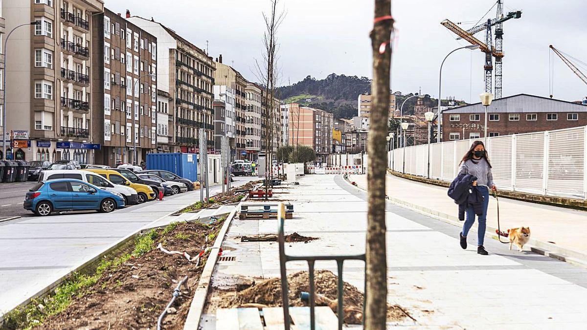 Los primeros perales en flor ya plantados sobre la reformada avenida de Ourense.   | // FDV