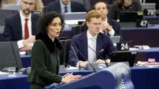 El Parlamento Europeo, dividido por la petición de un "alto el fuego permanente" en Gaza