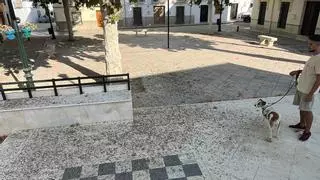 Vecinos de Zamoranos solicitan la limpieza de la plaza de Andalucía por la acumulación de excrementos de pájaros