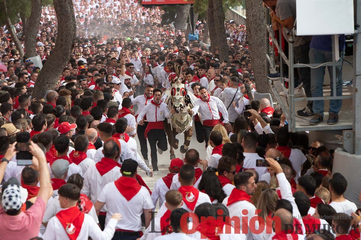 Así ha sido la carrera de los Caballos del Vino en Caravaca