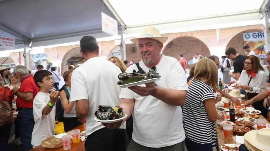 O Grove prepara la Festa do Marisco: 2,6 toneladas de producto y 9.200 botellas