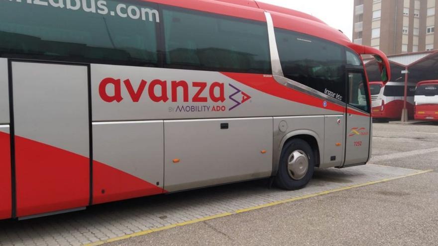 Autobuses de Avanza Bus (Auto Res), en la terminal de viajeros de Zamora.