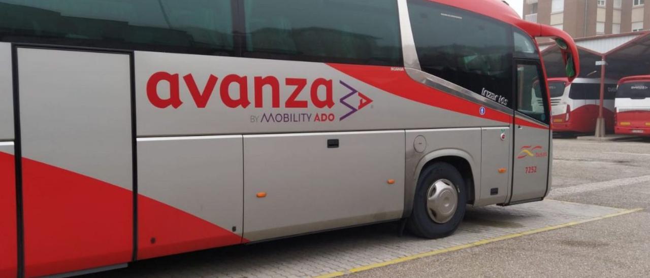 Autobuses de Avanza Bus (Auto Res), en la terminal de viajeros de Zamora.