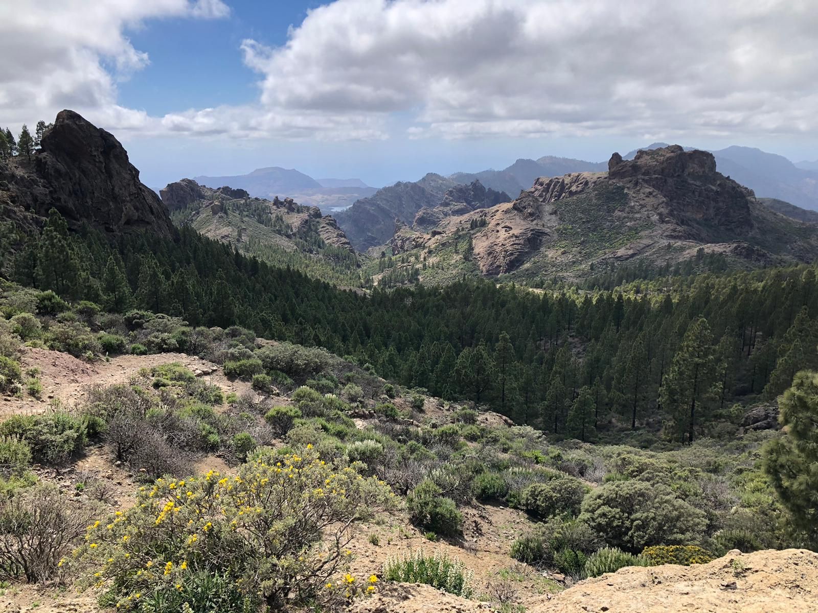 La primavera en Gran Canaria