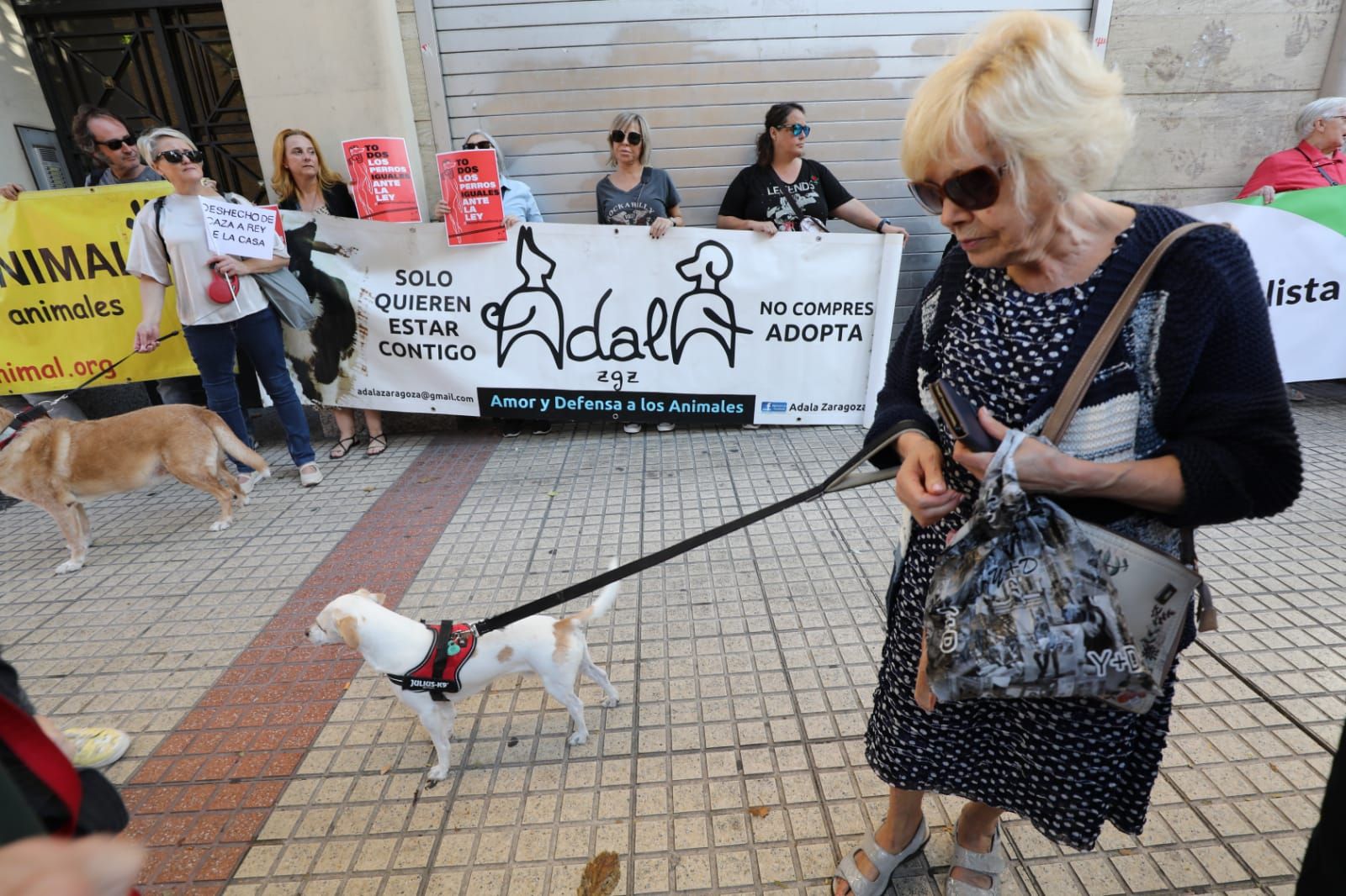 Protesta animalista ante la sede del PSOE en Zaragoza