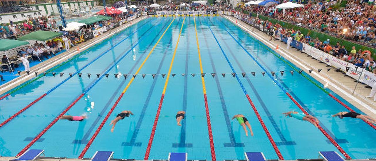 Presencia de aficionados en torno a la piscina tanto en las jornadas matutinas como en las vespertinas