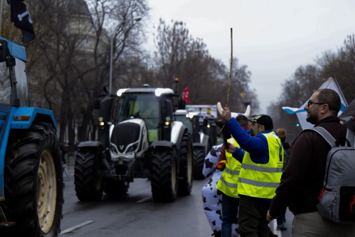 Protestas de los agricultores y ganaderos gallegos en Madrid