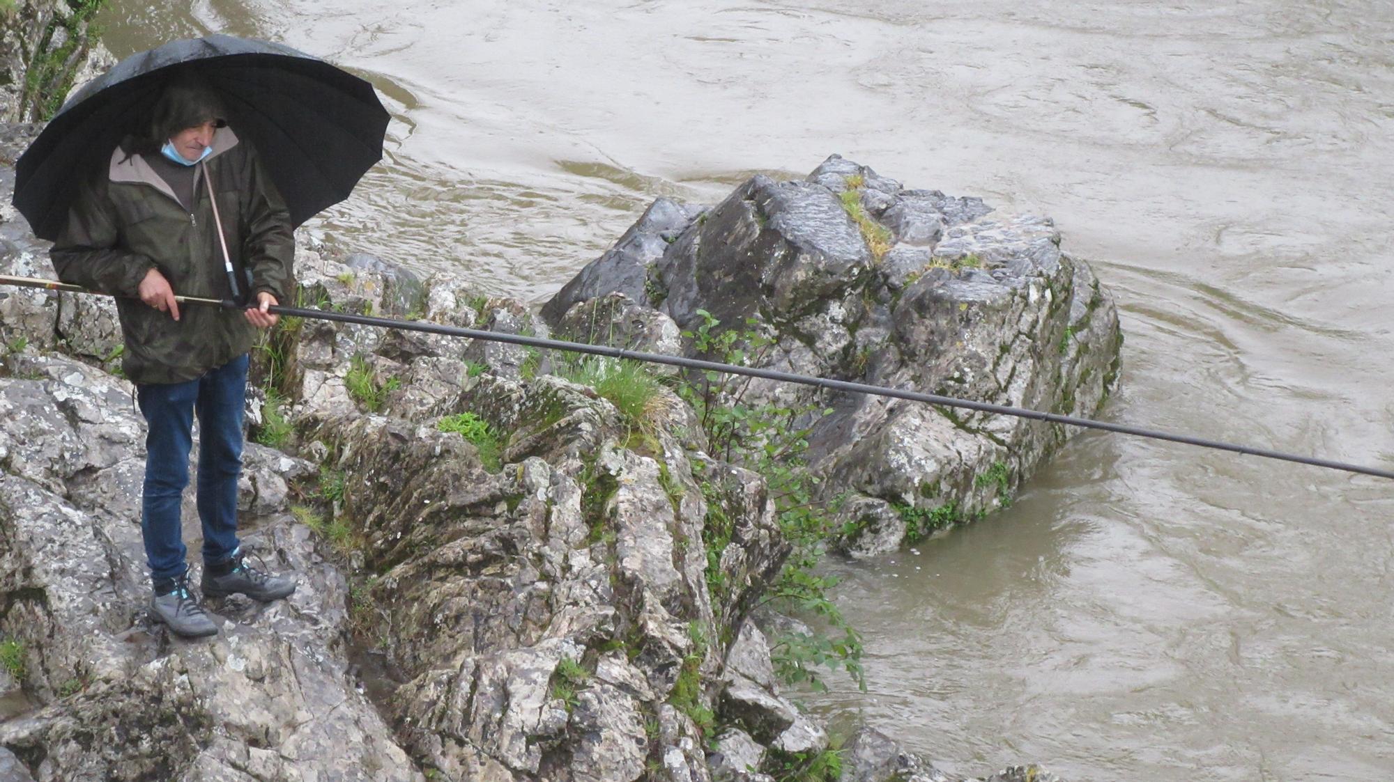 Madrugón a pie de río para sacar el campanu de Asturias