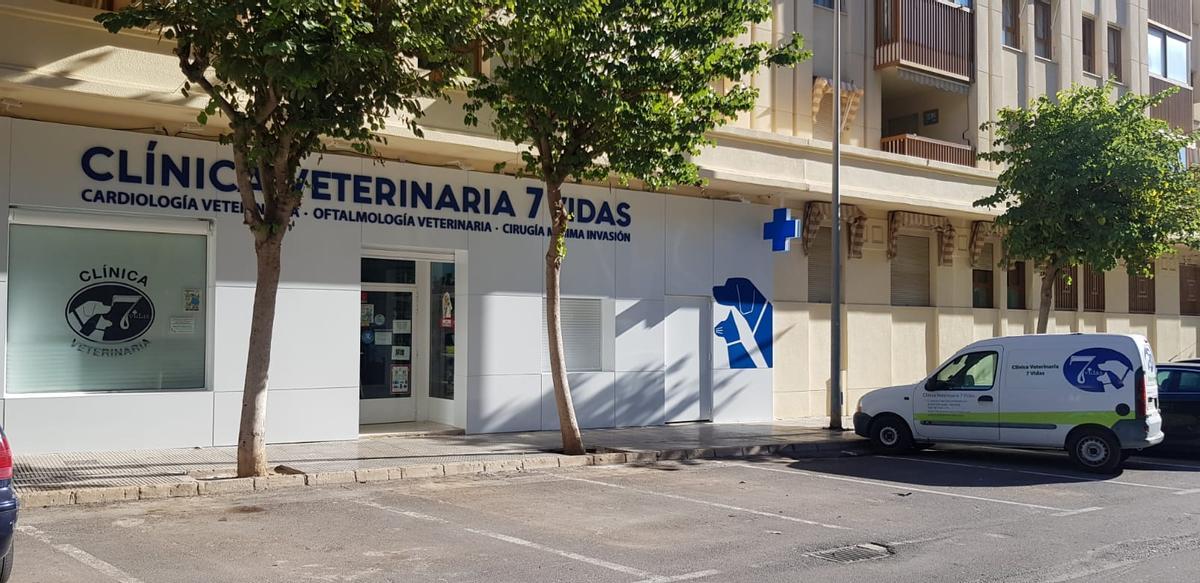 La clínica veterinaria 7 Vidas es experta en el diagnóstico y tratamiento de enfermedades cardiacas congénitas o adquiridas y enfermedades respiratorias.