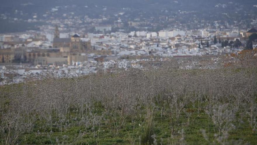 Córdoba arrastra en un trimestre un déficit de 179 litros en precipitaciones