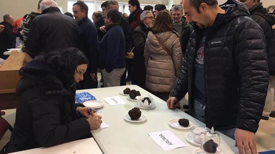 Tapas y saberes en la Feria de la Trufa de Vera