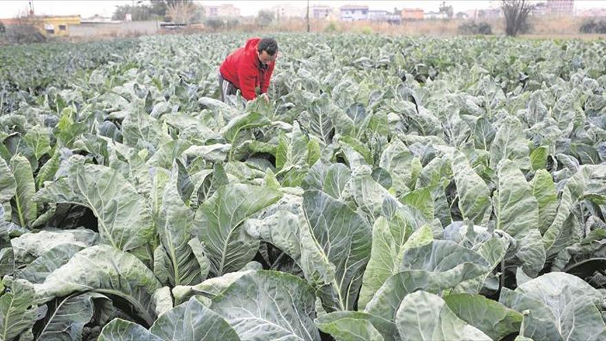 La compraventa de fincas rústicas repunta con la caída de los precios