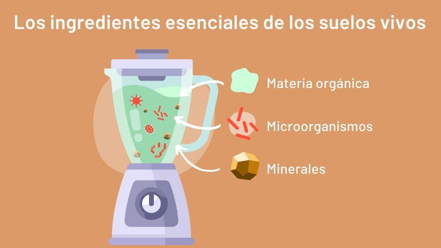 Ingredientes para un suelo sano