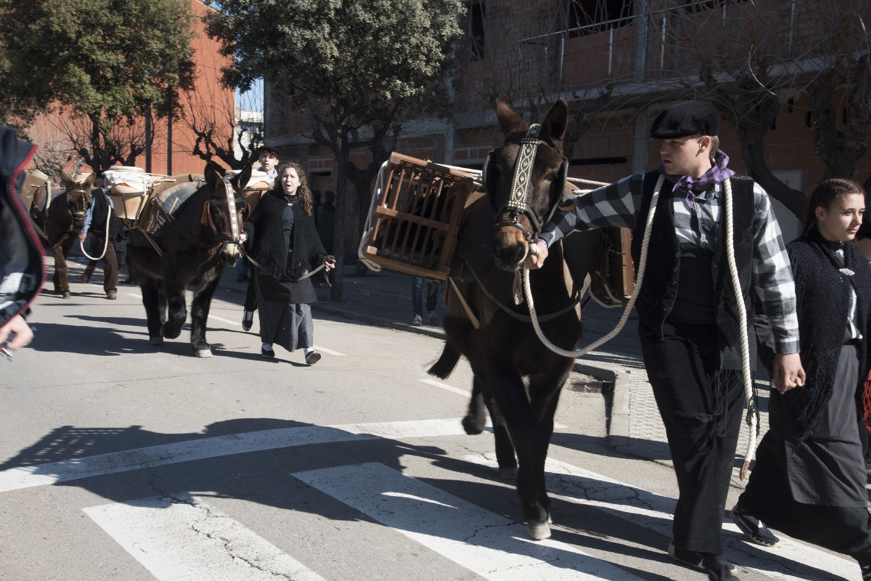 Les millors imatges dels Traginers de Balsareny