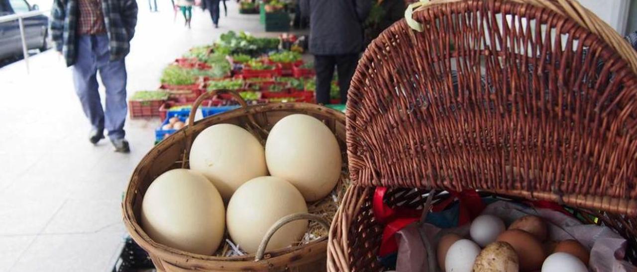 Huevos caseros y de oca, para pintar (cuya venta está permitida), ayer, en el mercado poleso.