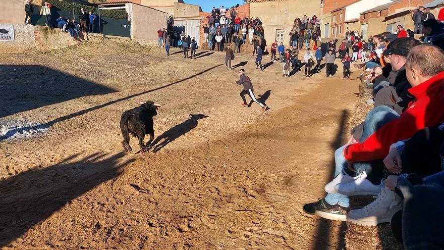 El VII Toro de San Antón pone fin a las fiestas de Castrogonzalo