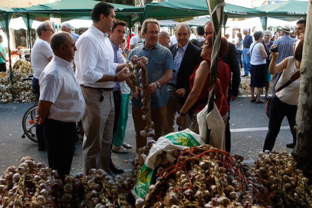 San Pedro 2016: Feria del Ajo