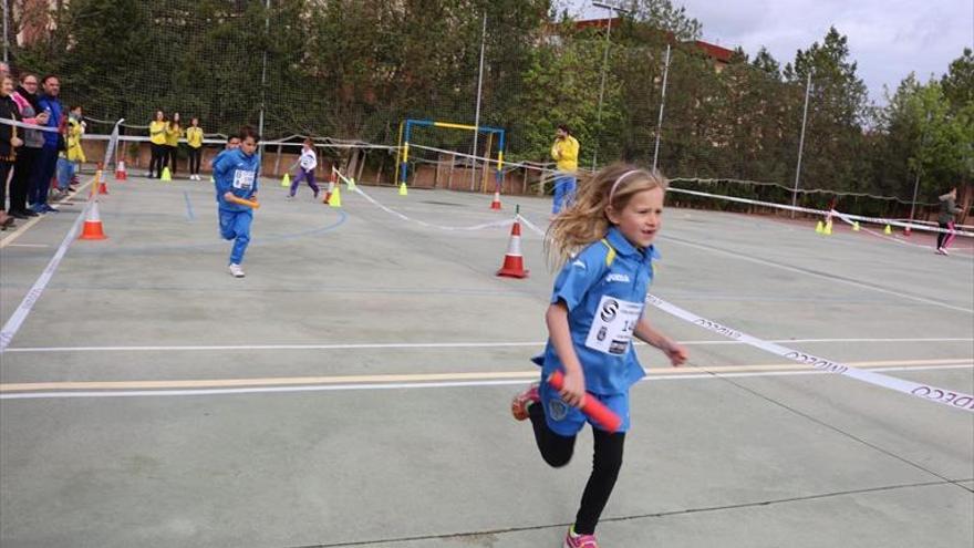 El colegio Séneca organiza una carrera para recaudar alimentos