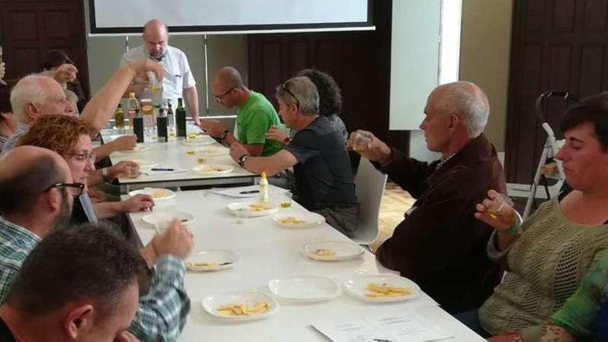 Los asistentes al taller de cata aprecian el color y consistencia del aceite antes de probarlo. // Jesús Regal