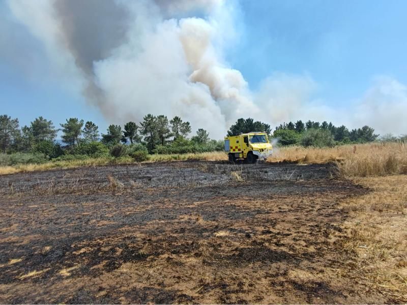 Una chispa provoca un incendio forestal en Lalín