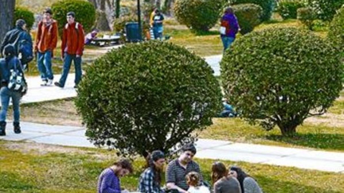 Estudiantes en el campus de la Universitat Autònoma de Barcelona, en Bellaterra.