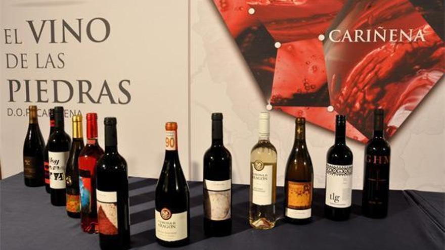 La garnacha aragonesa, incluida en un documental sobre vinos para EE.UU