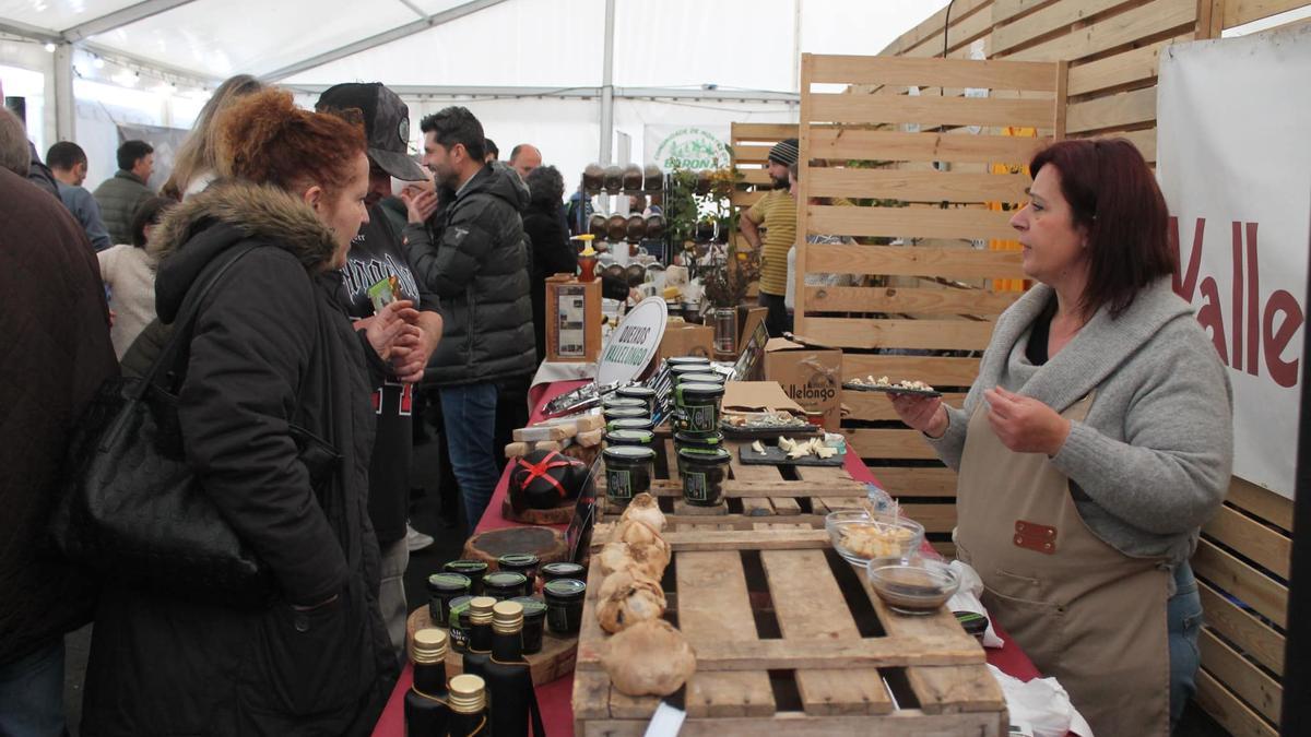 Una anterior edición de la Feira Tanto Monte, Monte Tanto en Trasmonte, Ames