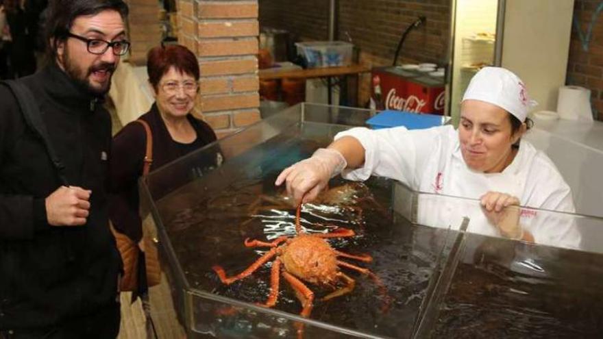 Los turistas observan con asombro un ejemplar vivo de centollo. // Muñiz