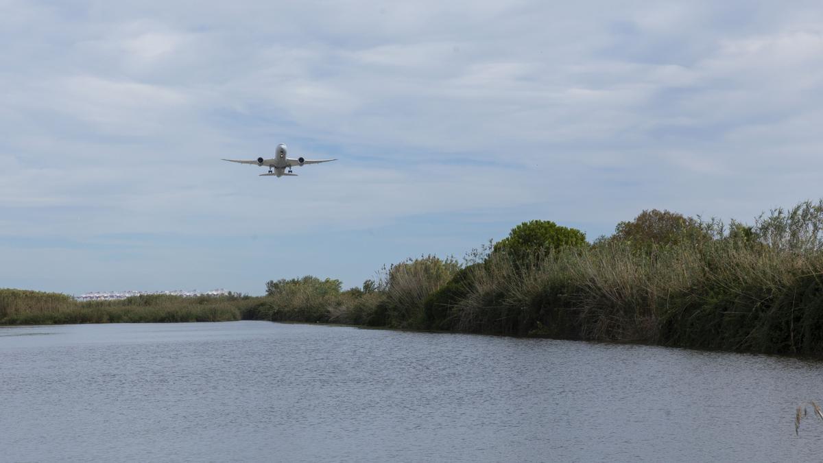 Aviones despegan de la pista 25L, sobrevuelan la zona de la marisma de Les Filipines - Remolar.