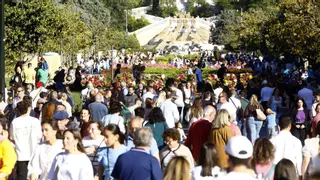 Zaragoza ya es la cuarta ciudad de España tras su 'sorpasso' a Sevilla