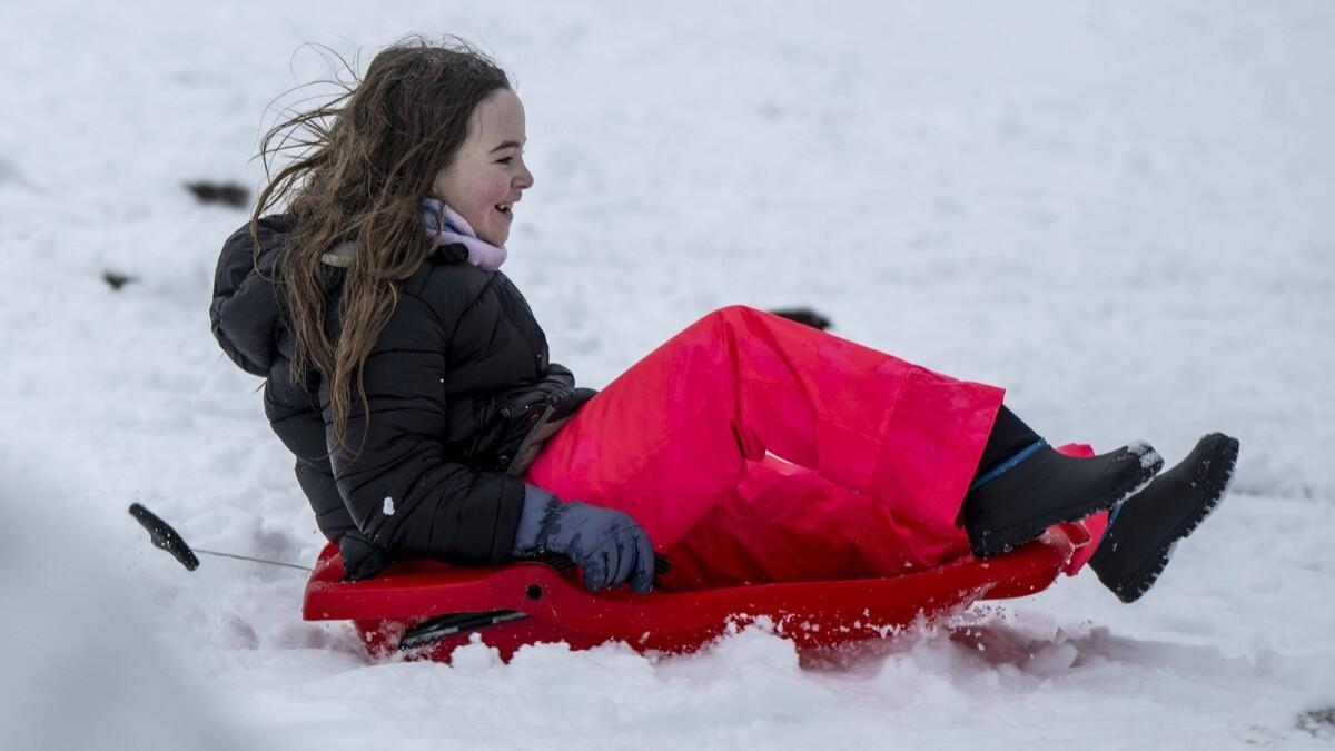 Un niña se lanza por la nieve con un trineo en Manzaneda