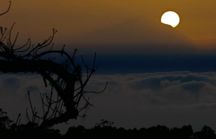 Mágica puesta de sol desde el Pinar de Tamadaba