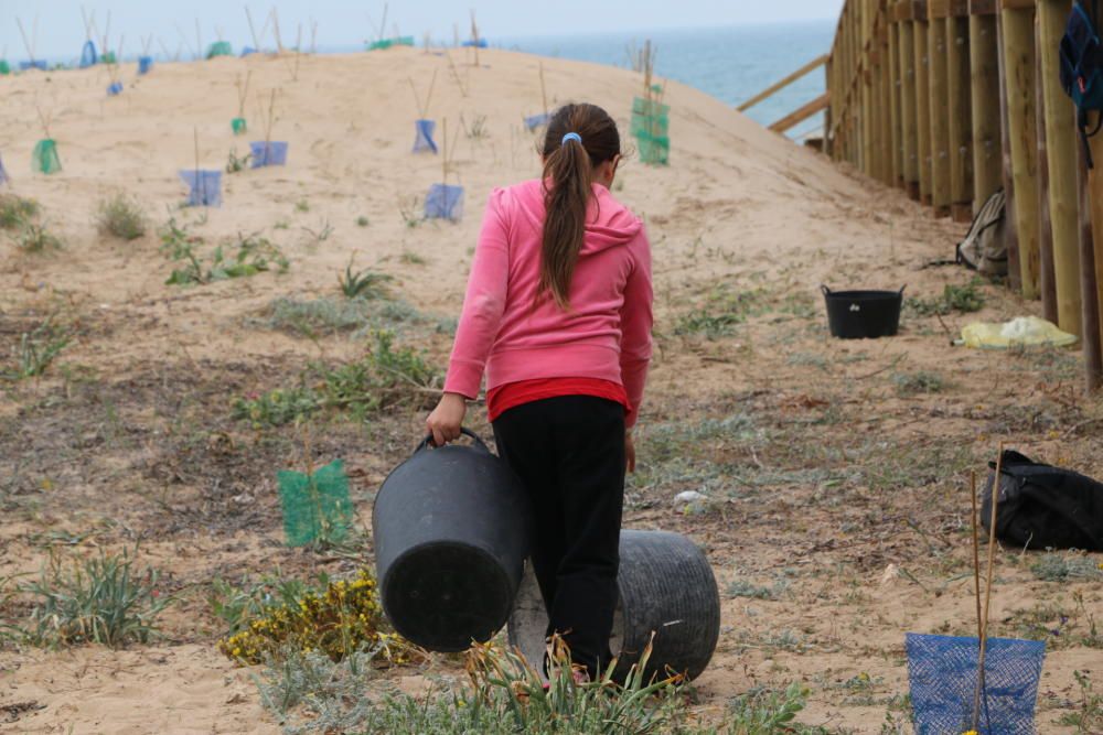 Retirada de especies invasoras de las dunas y pinada del Molino del Agua en Torrevieja